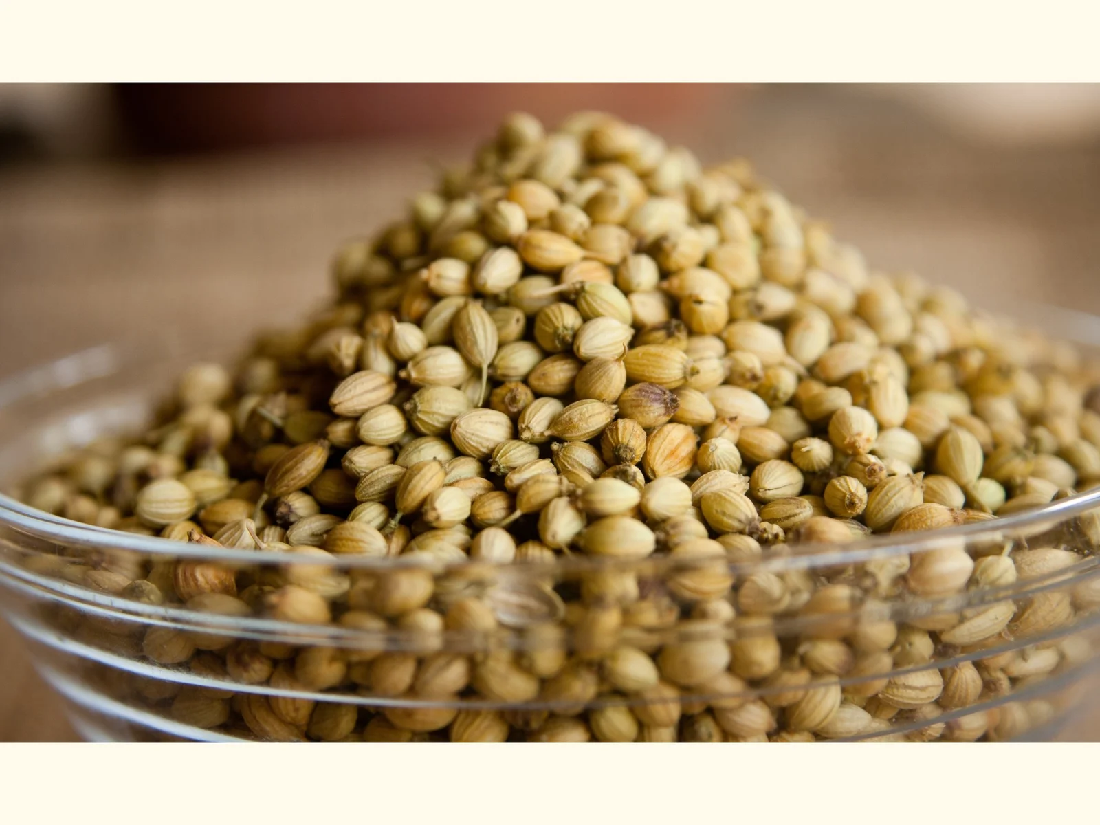 Coriander Seeds